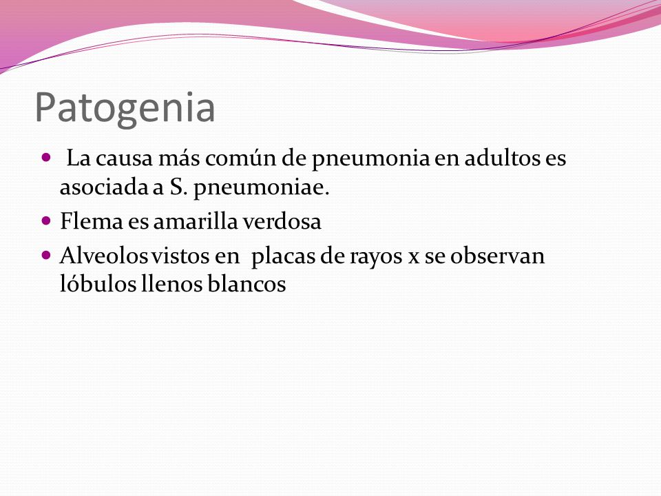 Patogenia La causa más común de pneumonia en adultos es asociada a S. pneumoniae. Flema es amarilla verdosa.