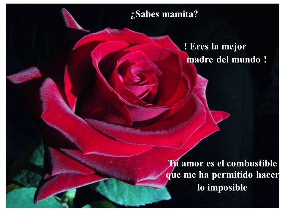 Tu amor es el combustible que me ha permitido hacer lo imposible