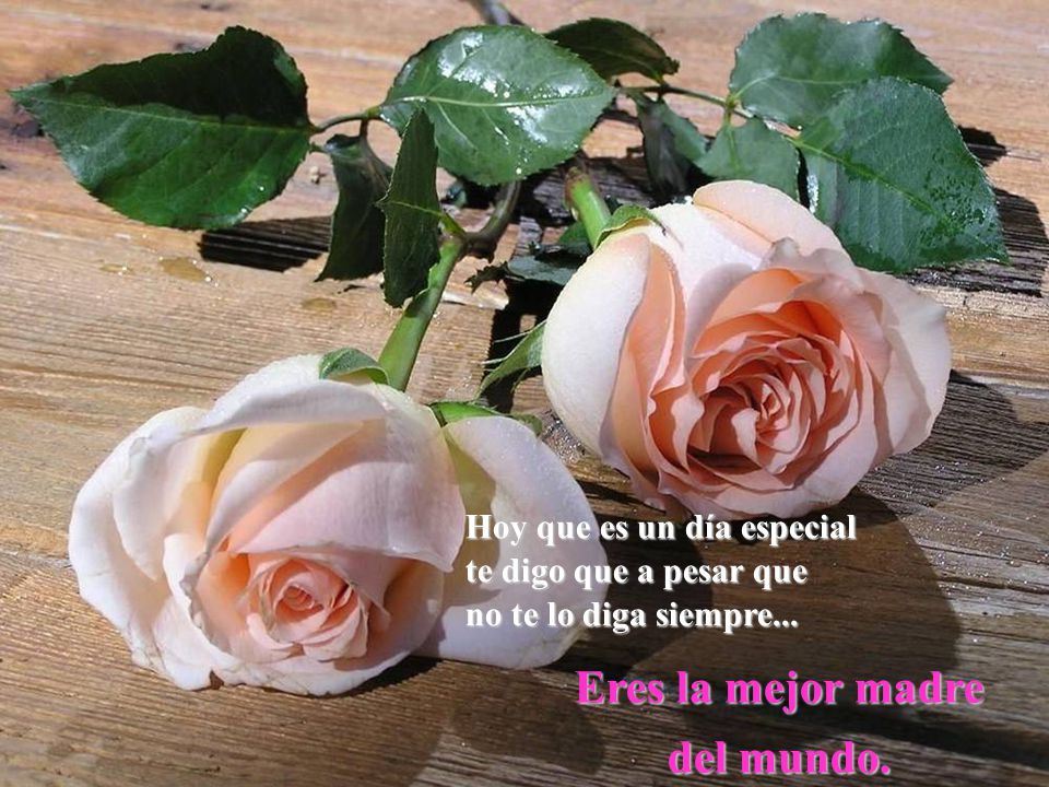 Eres la mejor madre del mundo. Hoy que es un día especial