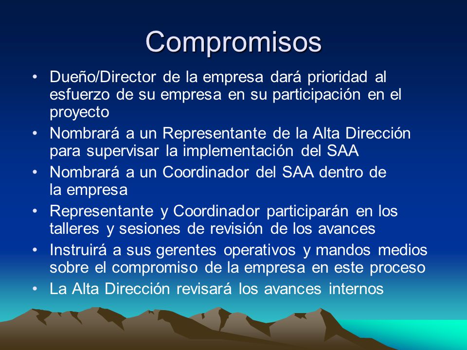 Compromisos Dueño/Director de la empresa dará prioridad al esfuerzo de su empresa en su participación en el proyecto.