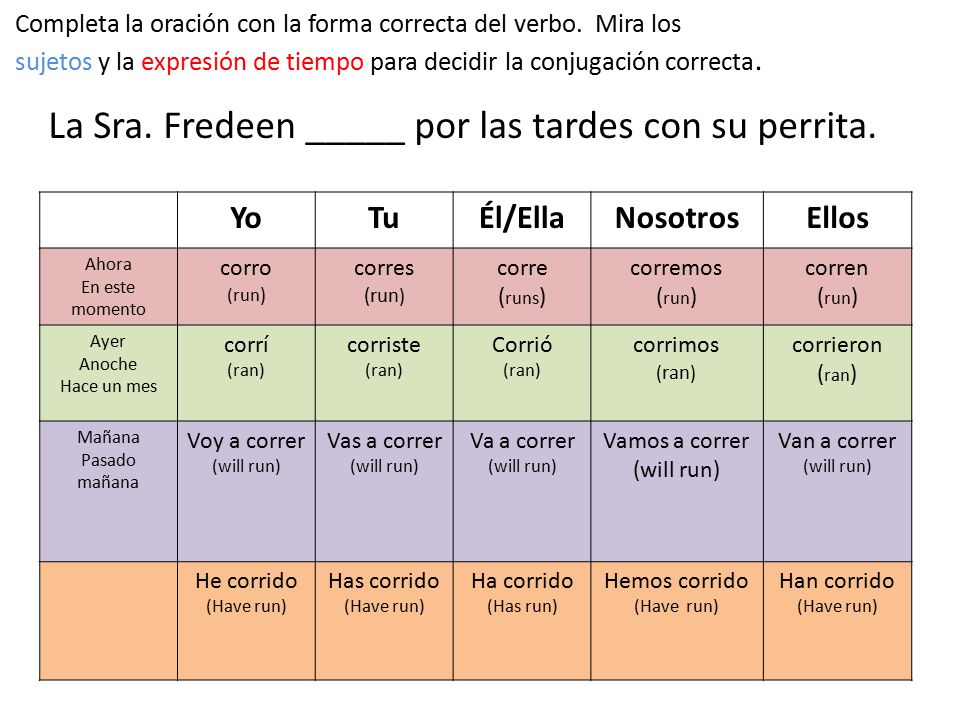 La Sra. Fredeen _____ por las tardes con su perrita.