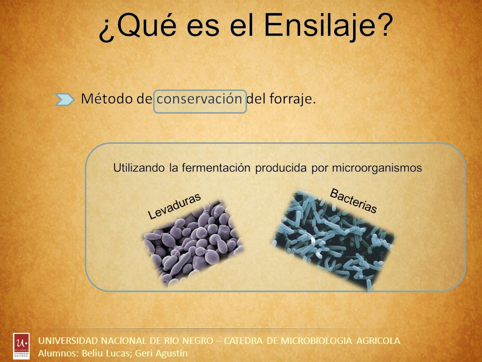 ¿Qué es el Ensilaje Método de conservación del forraje.