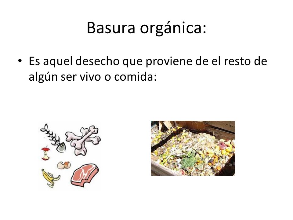 Basura orgánica: Es aquel desecho que proviene de el resto de algún ser vivo o comida: