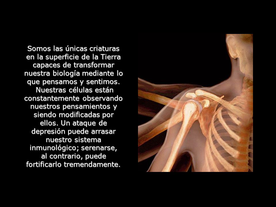 Somos las únicas criaturas en la superficie de la Tierra capaces de transformar nuestra biología mediante lo que pensamos y sentimos.