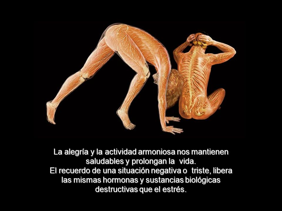 La alegría y la actividad armoniosa nos mantienen saludables y prolongan la vida.