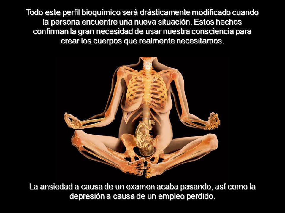 Todo este perfil bioquímico será drásticamente modificado cuando la persona encuentre una nueva situación. Estos hechos confirman la gran necesidad de usar nuestra consciencia para crear los cuerpos que realmente necesitamos.