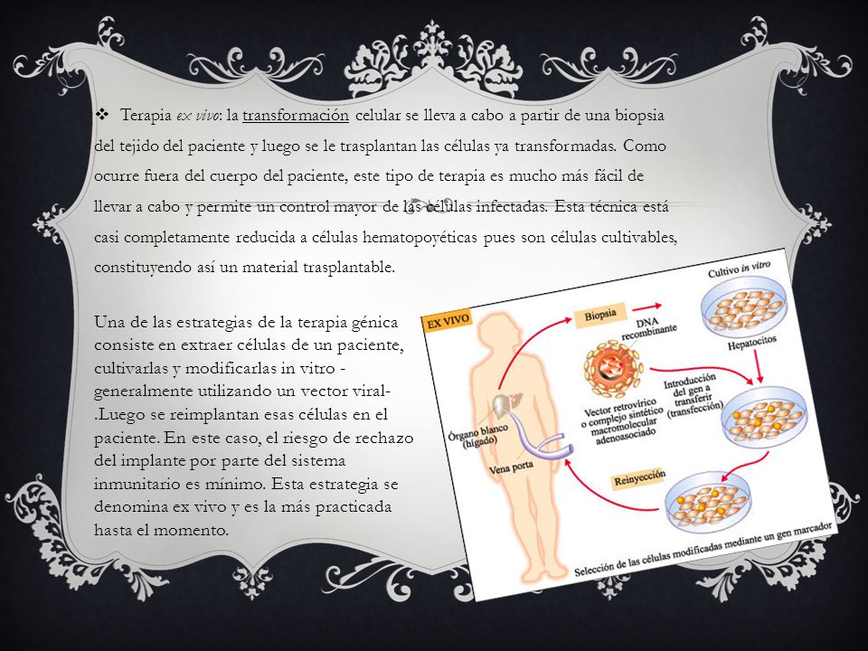 Terapia ex vivo: la transformación celular se lleva a cabo a partir de una biopsia del tejido del paciente y luego se le trasplantan las células ya transformadas. Como ocurre fuera del cuerpo del paciente, este tipo de terapia es mucho más fácil de llevar a cabo y permite un control mayor de las células infectadas. Esta técnica está casi completamente reducida a células hematopoyéticas pues son células cultivables, constituyendo así un material trasplantable.