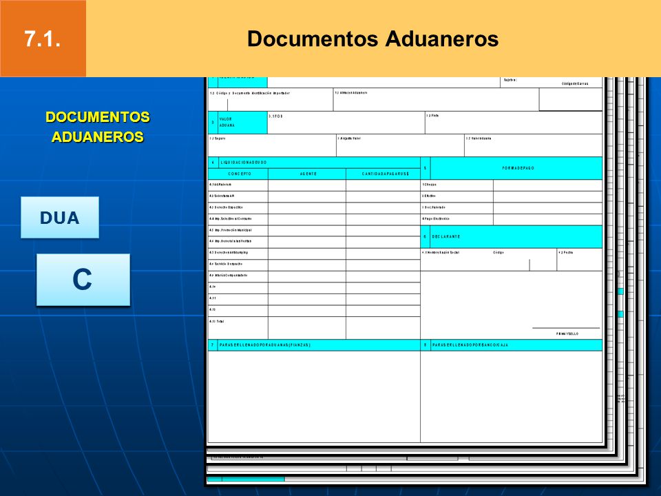7.1. Documentos Aduaneros DOCUMENTOS ADUANEROS DUA C B A A1 B1