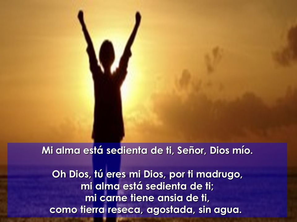 Mi alma está sedienta de ti, Señor, Dios mío