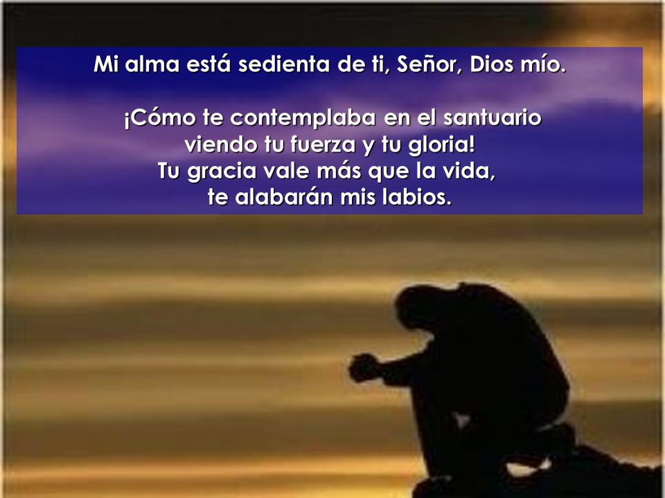 Mi alma está sedienta de ti, Señor, Dios mío