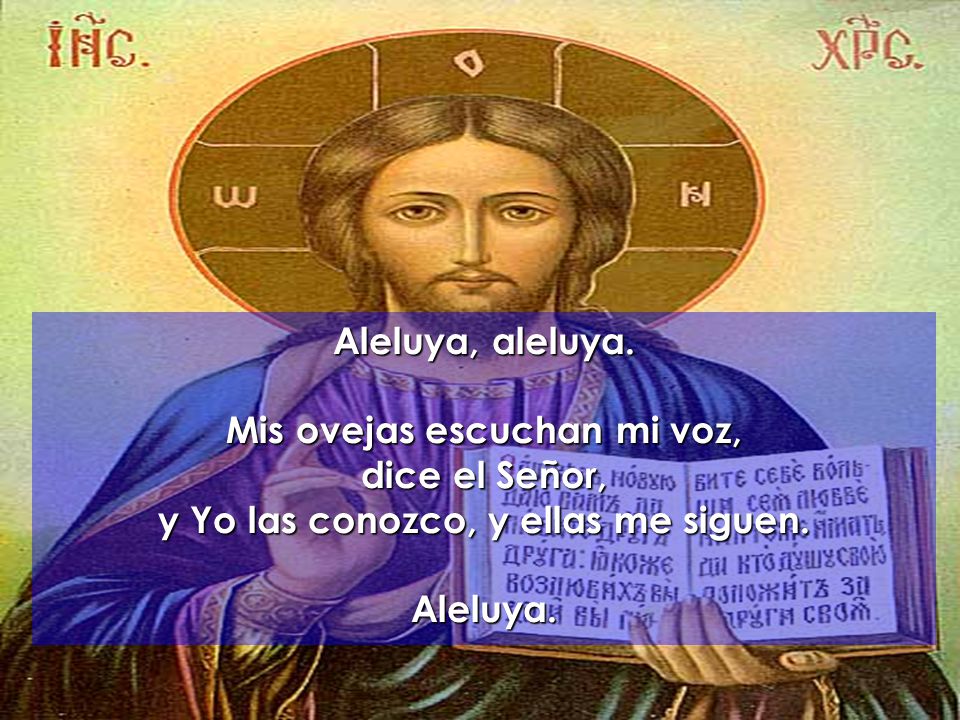 Mis ovejas escuchan mi voz, y Yo las conozco, y ellas me siguen.