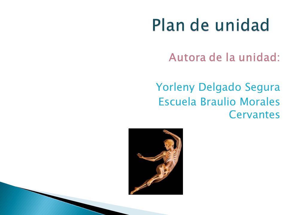 Plan de unidad Autora de la unidad: Yorleny Delgado Segura
