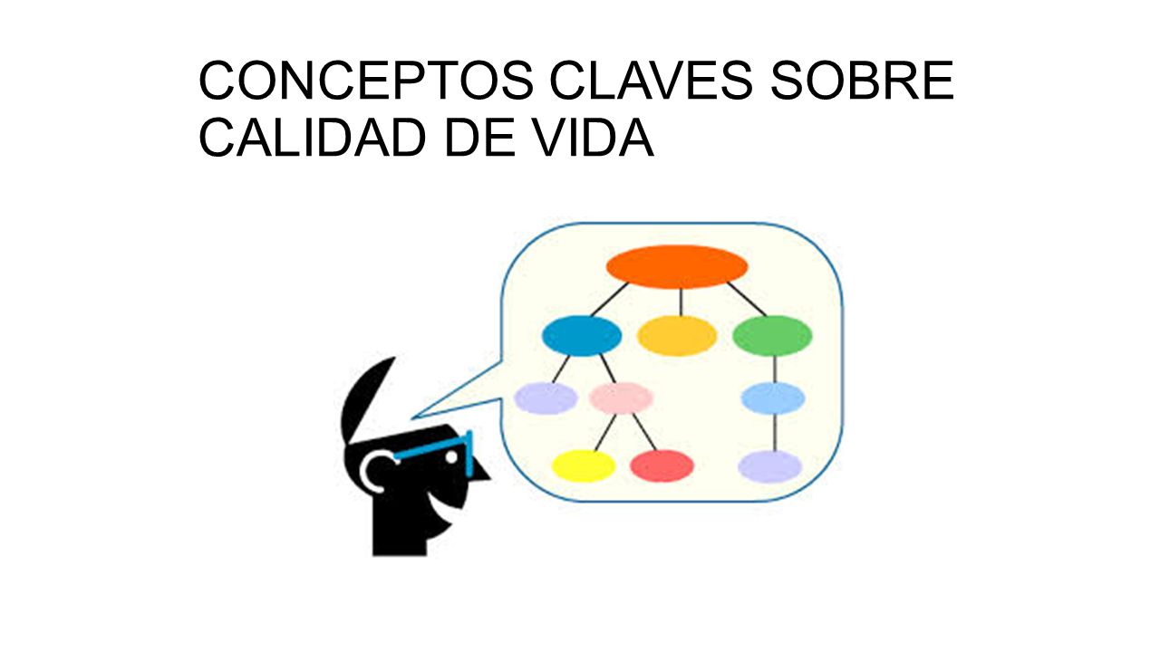 CONCEPTOS CLAVES SOBRE CALIDAD DE VIDA