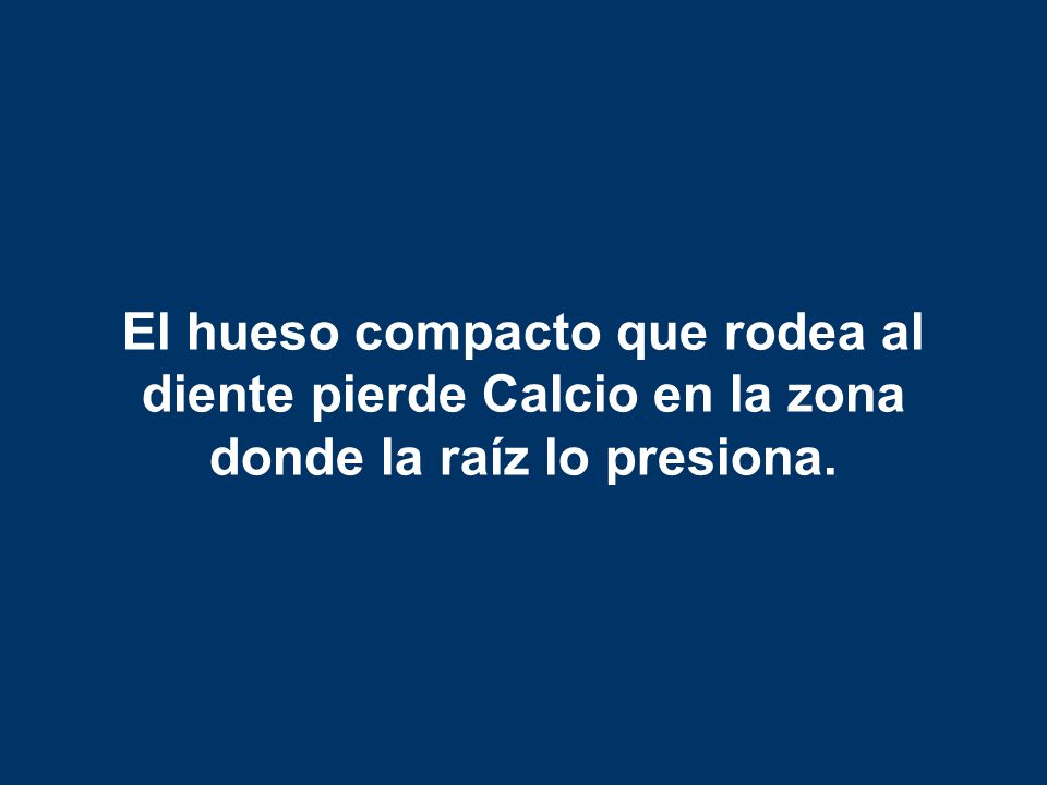 El hueso compacto que rodea al diente pierde Calcio en la zona donde la raíz lo presiona.