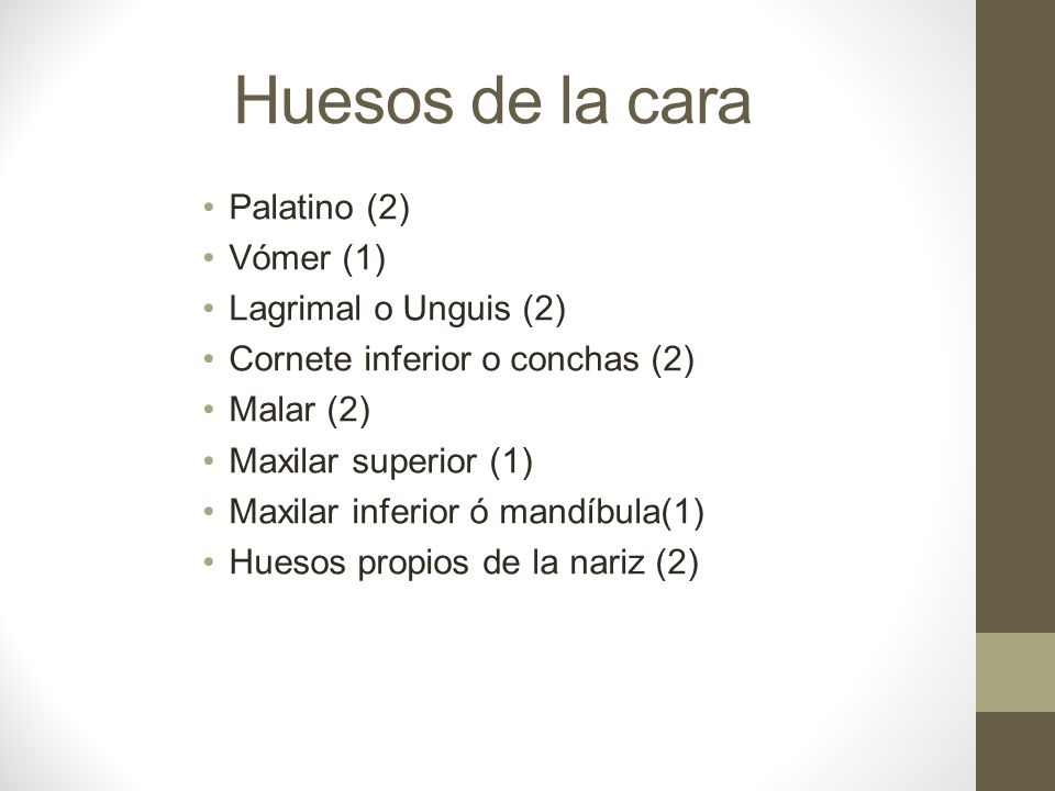 Huesos de la cara Palatino (2) Vómer (1) Lagrimal o Unguis (2)