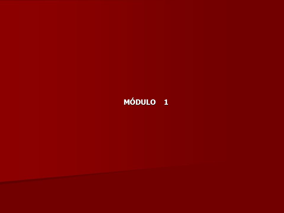 MÓDULO 1