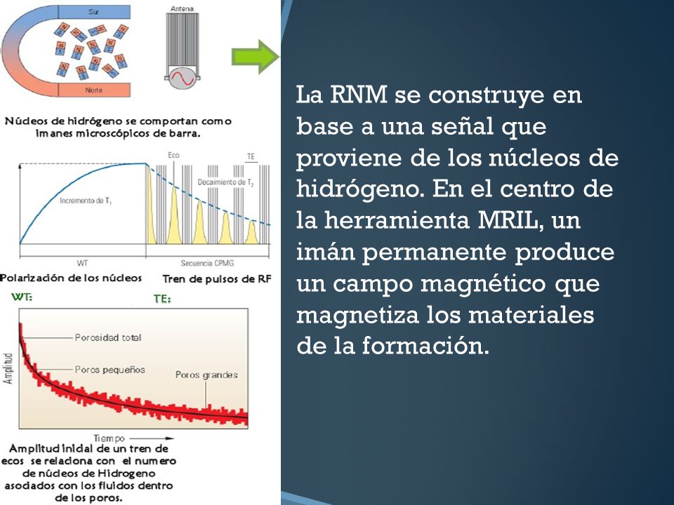 La RNM se construye en base a una señal que proviene de los núcleos de hidrógeno.