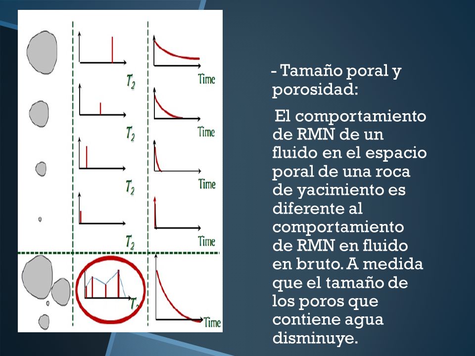 - Tamaño poral y porosidad: El comportamiento de RMN de un fluido en el espacio poral de una roca de yacimiento es diferente al comportamiento de RMN en fluido en bruto.