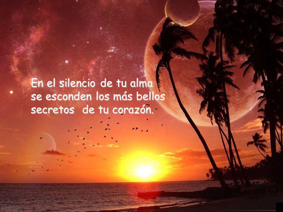 En el silencio de tu alma se esconden los más bellos secretos de tu corazón.