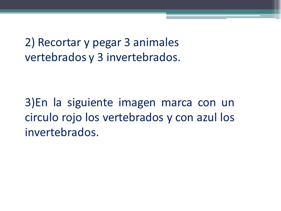 2) Recortar y pegar 3 animales vertebrados y 3 invertebrados.
