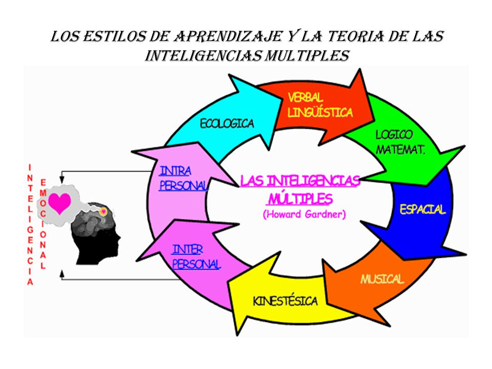 LOS ESTILOS DE APRENDIZAJE Y LA TEORIA DE LAS INTELIGENCIAS MULTIPLES