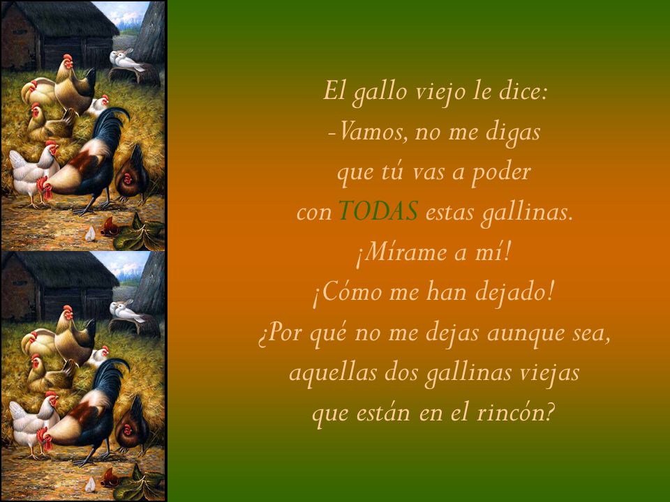 con TODAS estas gallinas. ¡Mírame a mí! ¡Cómo me han dejado!