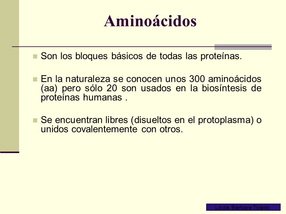 Aminoácidos Son los bloques básicos de todas las proteínas.