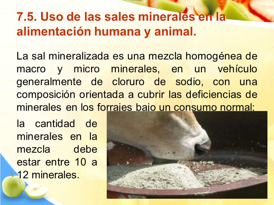 7.5. Uso de las sales minerales en la alimentación humana y animal.