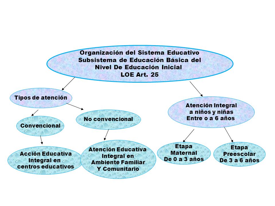 Organización del Sistema Educativo Subsistema de Educación Básica del