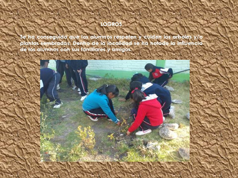 LOGROS Se ha conseguido que los alumnos respeten y cuiden los arboles y/o plantas sembradas.