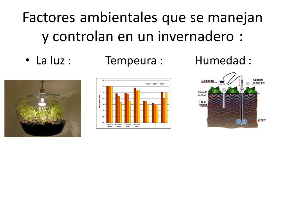 Factores ambientales que se manejan y controlan en un invernadero :
