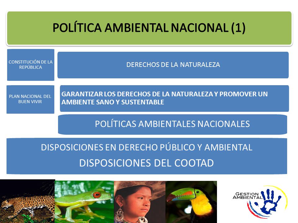 POLÍTICA AMBIENTAL NACIONAL (1)