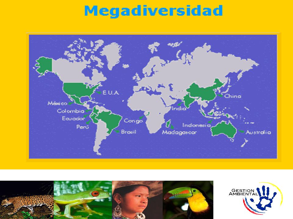 En el mundo existen alrededor de 247 países y en sólo 17 de ellos se encuentra el 70% de la biodiversidad total del planeta.