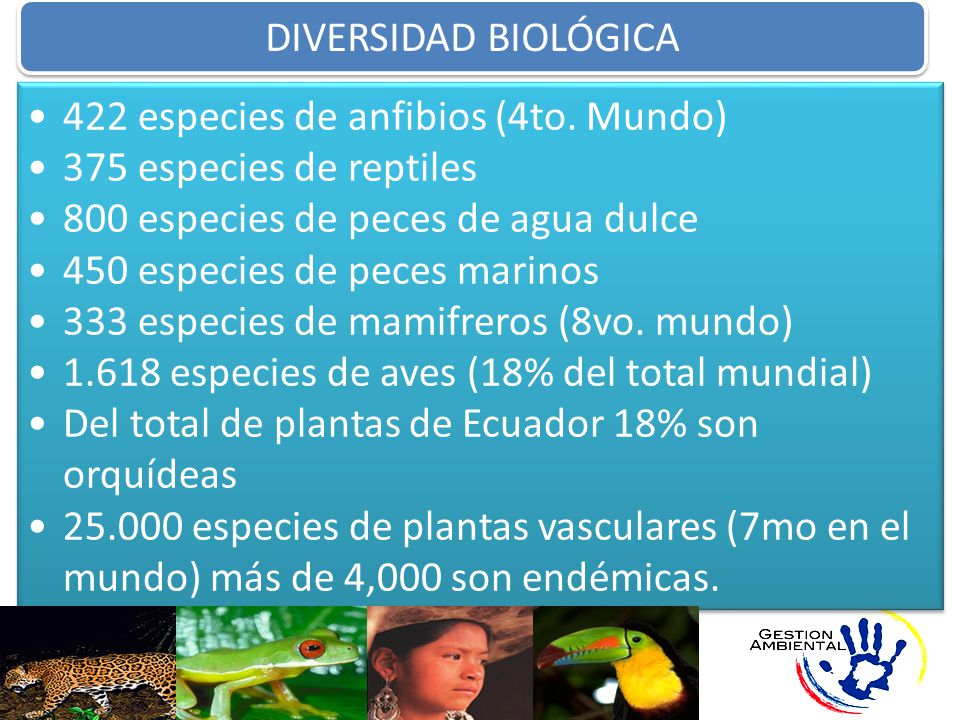 422 especies de anfibios (4to. Mundo) 375 especies de reptiles