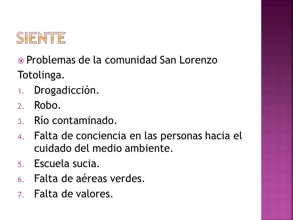 SIENTE Problemas de la comunidad San Lorenzo Totolinga. Drogadicción.