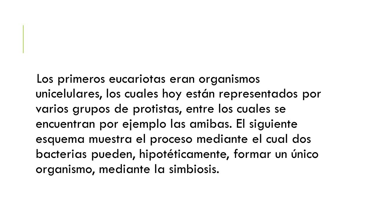 Los primeros eucariotas eran organismos unicelulares, los cuales hoy están representados por varios grupos de protistas, entre los cuales se encuentran por ejemplo las amibas.