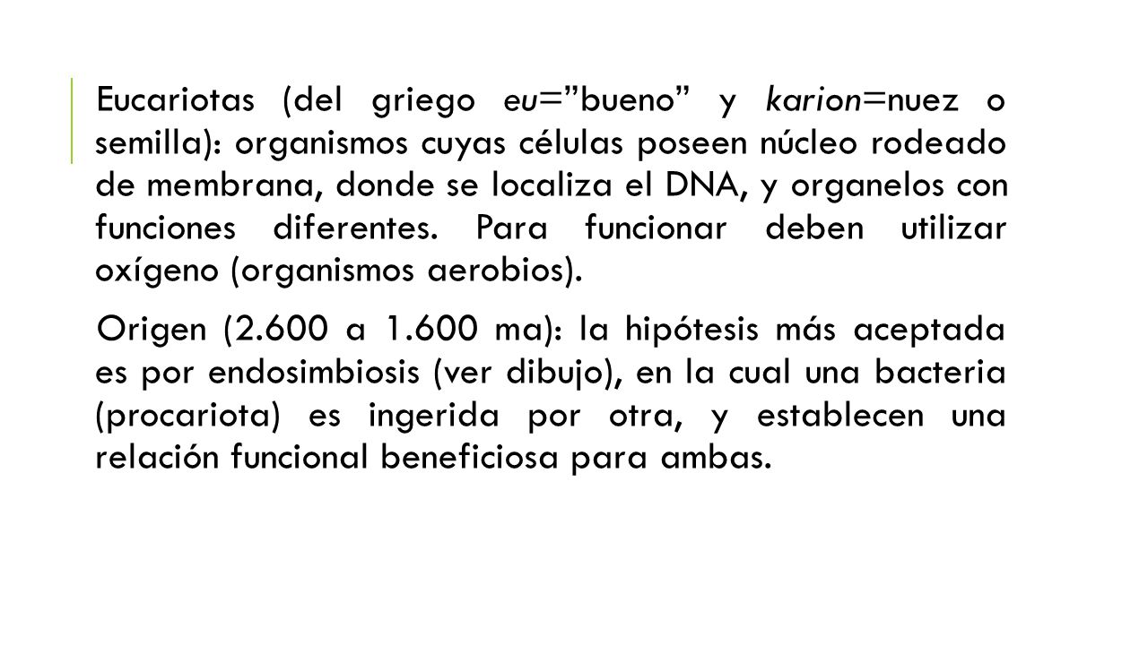 Eucariotas (del griego eu= bueno y karion=nuez o semilla): organismos cuyas células poseen núcleo rodeado de membrana, donde se localiza el DNA, y organelos con funciones diferentes. Para funcionar deben utilizar oxígeno (organismos aerobios).