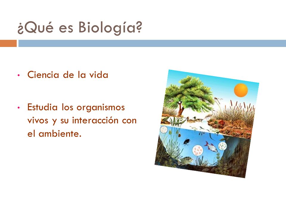 ¿Qué es Biología Ciencia de la vida