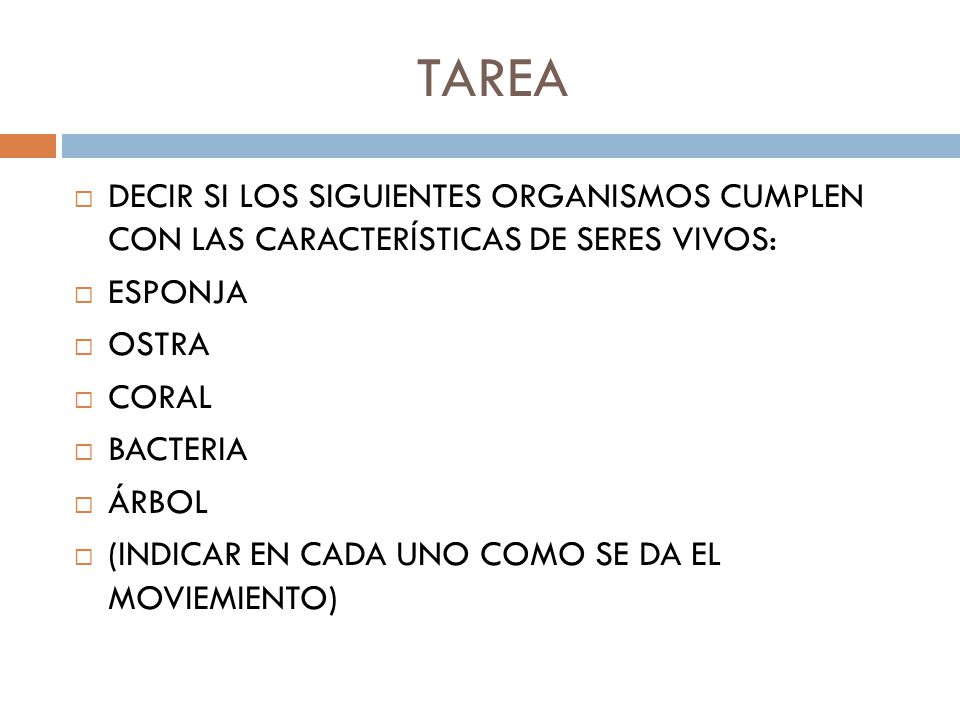 TAREA DECIR SI LOS SIGUIENTES ORGANISMOS CUMPLEN CON LAS CARACTERÍSTICAS DE SERES VIVOS: ESPONJA.