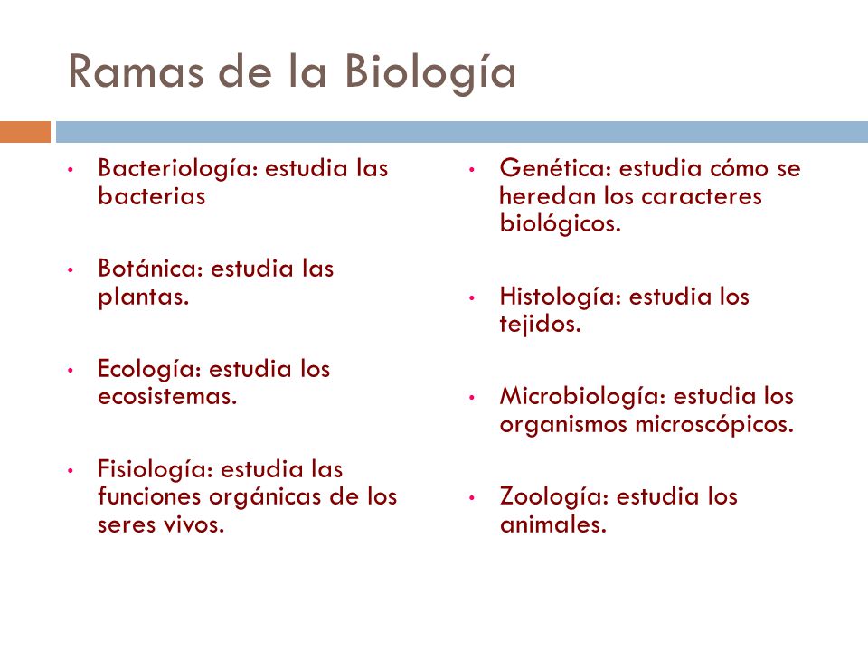 Biología. - ppt descargar