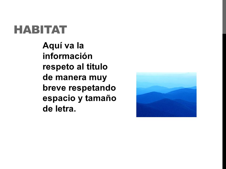 HABITAT Aquí va la información respeto al titulo de manera muy breve respetando espacio y tamaño de letra.