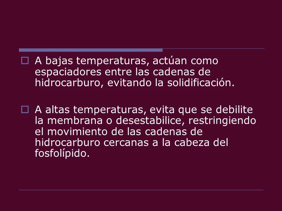 A bajas temperaturas, actúan como espaciadores entre las cadenas de hidrocarburo, evitando la solidificación.