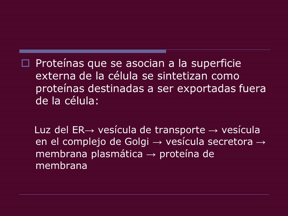 Proteínas que se asocian a la superficie externa de la célula se sintetizan como proteínas destinadas a ser exportadas fuera de la célula: