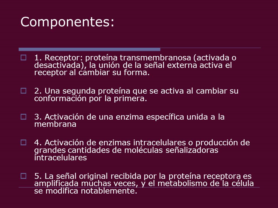Componentes: 1. Receptor: proteína transmembranosa (activada o desactivada), la unión de la señal externa activa el receptor al cambiar su forma.
