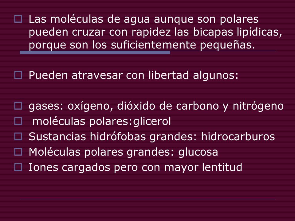 Las moléculas de agua aunque son polares pueden cruzar con rapidez las bicapas lipídicas, porque son los suficientemente pequeñas.