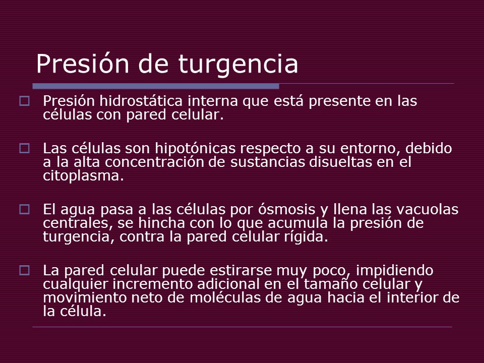 Presión de turgencia Presión hidrostática interna que está presente en las células con pared celular.