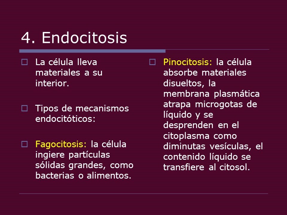 4. Endocitosis La célula lleva materiales a su interior.