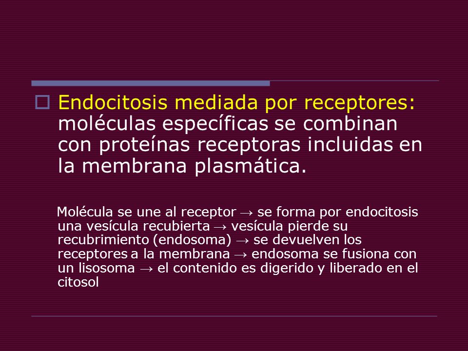 Endocitosis mediada por receptores: moléculas específicas se combinan con proteínas receptoras incluidas en la membrana plasmática.