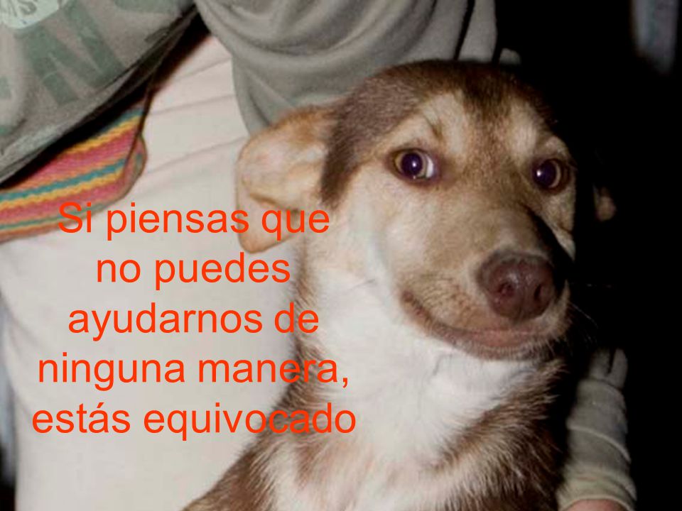 Si piensas que no puedes ayudarnos de ninguna manera, estás equivocado