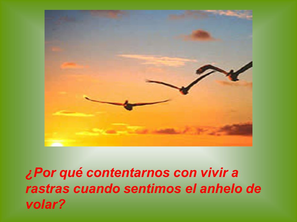 ¿Por qué contentarnos con vivir a rastras cuando sentimos el anhelo de volar
